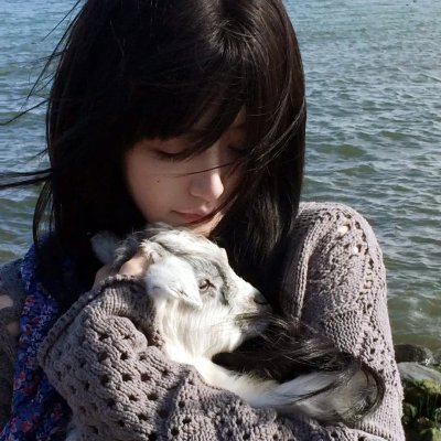 季总的替罪娇妻